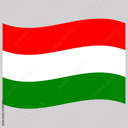hungary  flag  on gray background vector illustration 