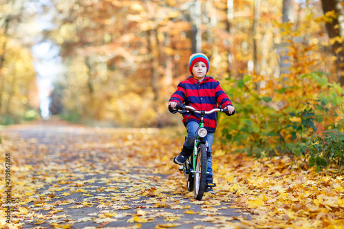 Little kid boy in colorful warm clothes in autumn forest park driving a bicycle. Active child cycling on sunny fall day in nature. Safety, sports, leisure with kids concept..