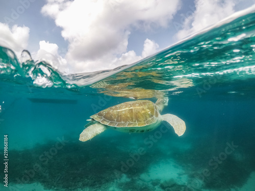  Curacao Views in the caribbean