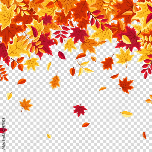 Autumn falling leaves. Nature background with red  orange  yellow foliage. Flying leaf. Season sale. Vector illustration.
