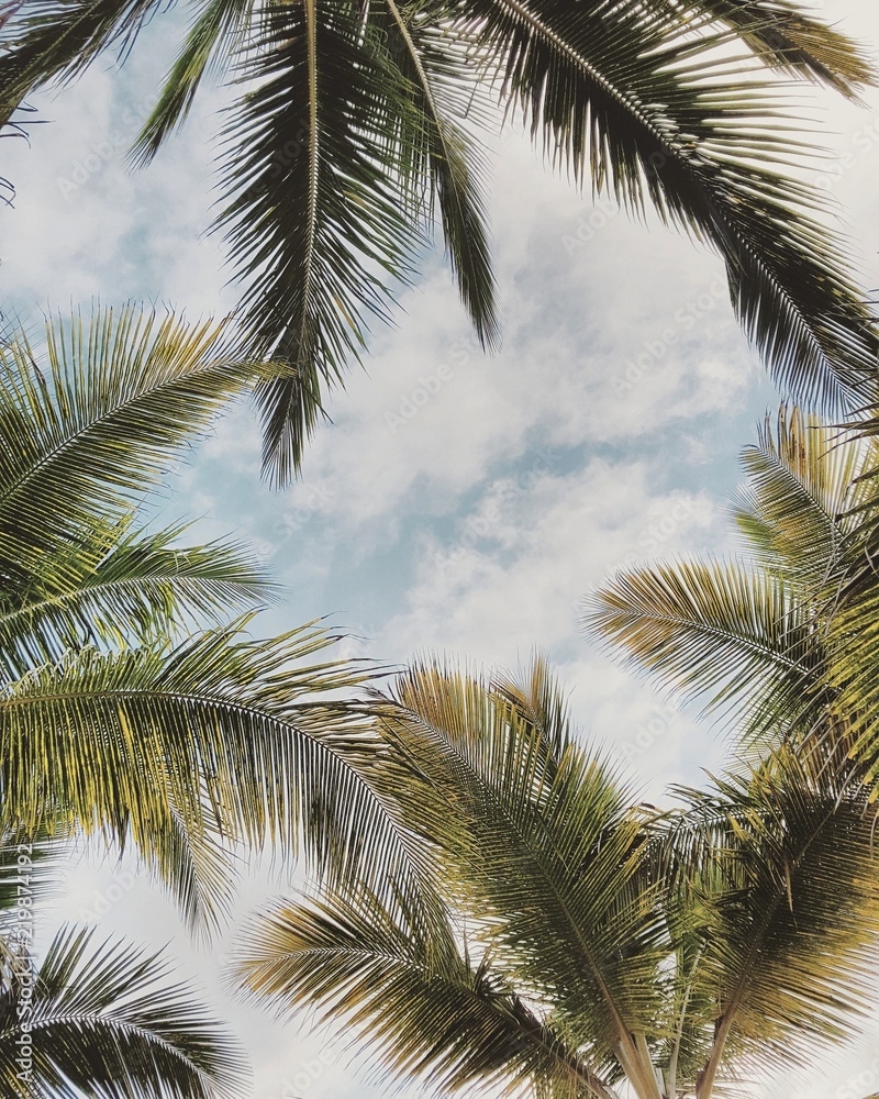 Fototapeta premium Plaża