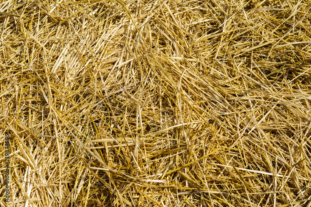 homemade hay of yellow color close up homemade hay of yellow color close up