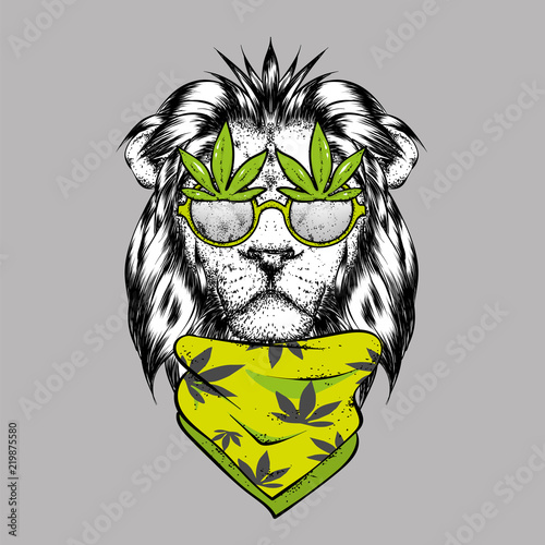 Fototapeta Naklejka Na Ścianę i Meble -  A beautiful lion with glasses and a scarf. Vector illustration for a postcard or a poster, print for clothes. Wild animal.
