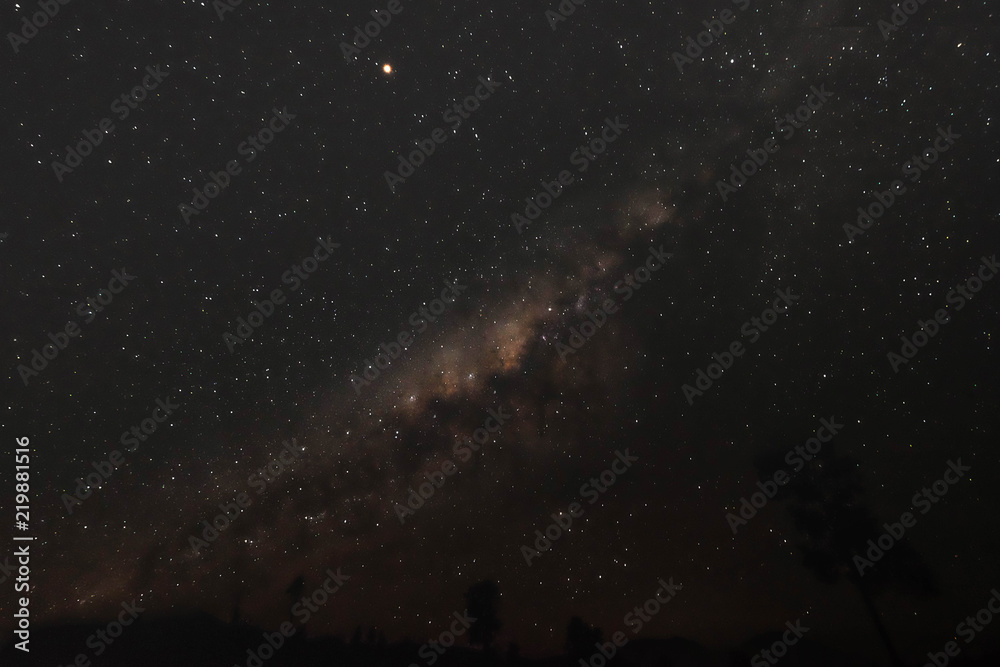 Beautiful view of milky way and silhouette trees on the way to Kawah Ijen in Java, Indonesia. Beautiful view of milky way and silhouette trees on the way to Kawah Ijen in Java, Indonesia.
