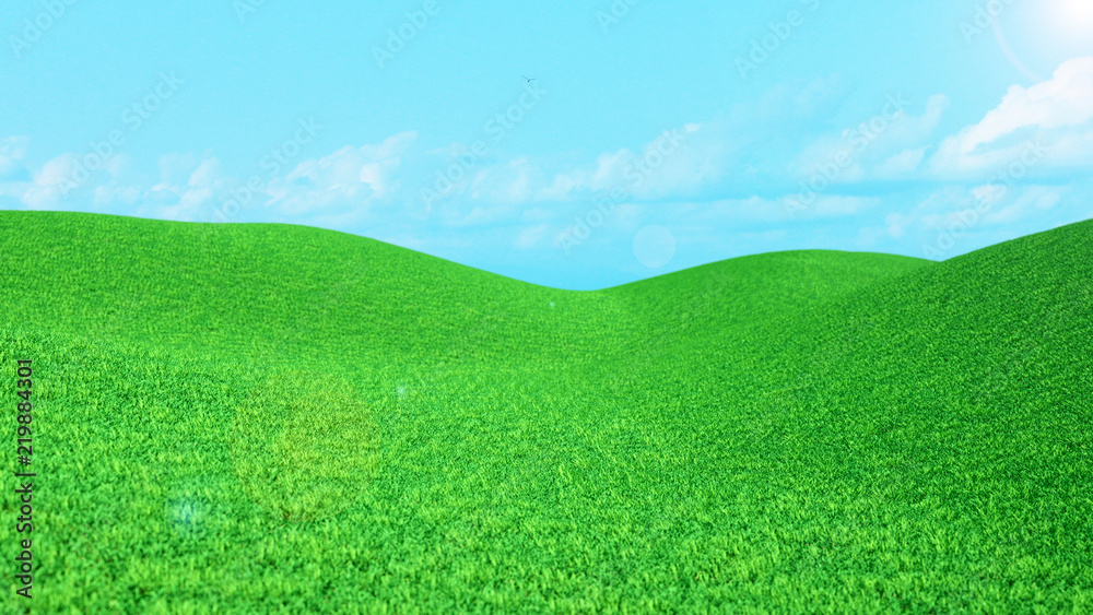 Landscape Green grass field and blue sky with clouds