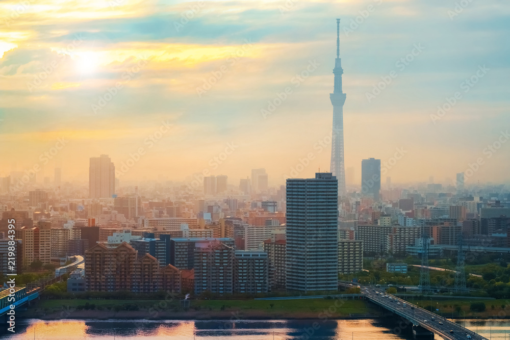 Fototapeta premium Sceniczny widok miasto Tokyo stolica Japonia w zmierzchu
