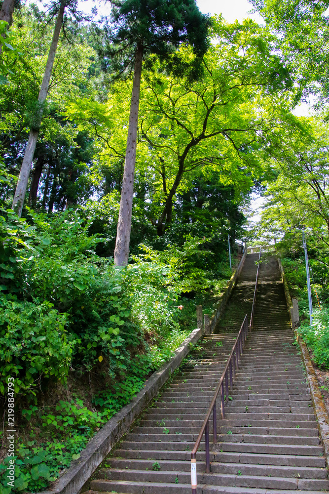 春日山城跡 春日山城跡