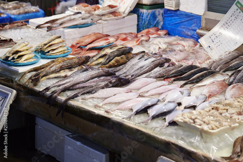 fresh fish at the market