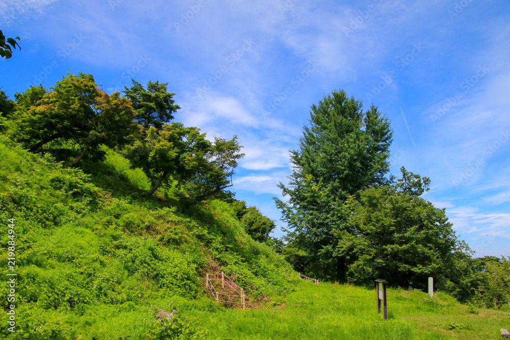 Obraz premium 春日山城跡