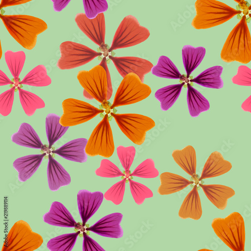 Lavatera. Seamless pattern texture of flowers. Floral background  photo collage