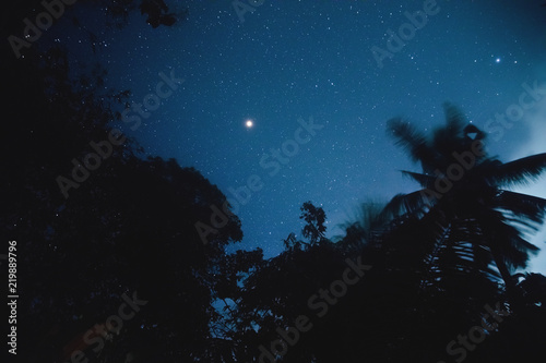 Silhouettes of coconut trees with southern hemisphere Milky Way stars. 