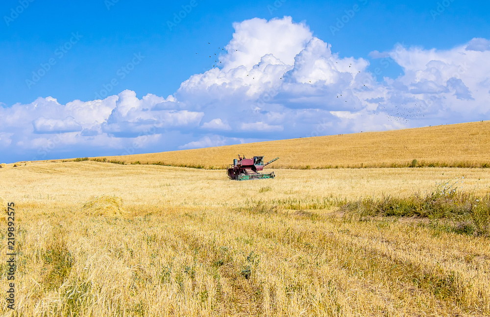 Agricultural machinery Harvester on a wheat field on a sky background landscape Agricultural machinery Harvester on a wheat field on a sky background landscape