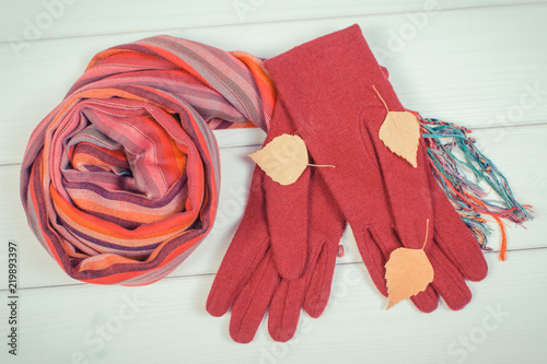 Womanly gloves and shawl, clothing for autumn or winter