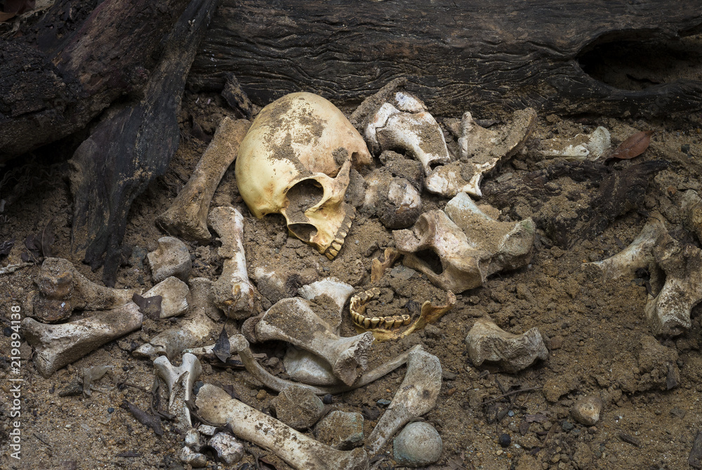 Model skull of human and bones form pit with dark light.Copy space.Concept halloween day. Model skull of human and bones form pit with dark light.Copy space.Concept halloween day.