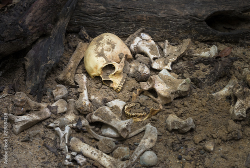 Model skull of human and bones form pit with dark light.Copy space.Concept halloween day.