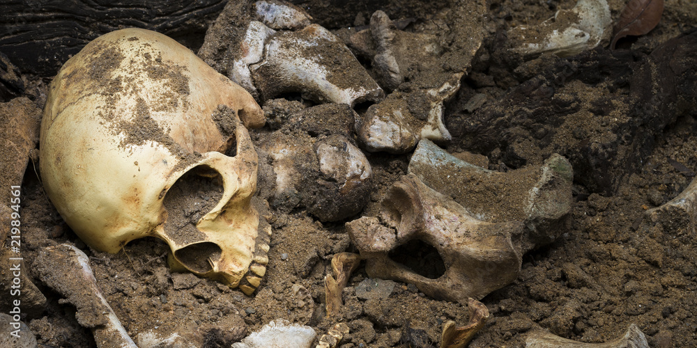 Model skull of human and bones form pit with dark light.Copy space.Concept halloween day. Model skull of human and bones form pit with dark light.Copy space.Concept halloween day.