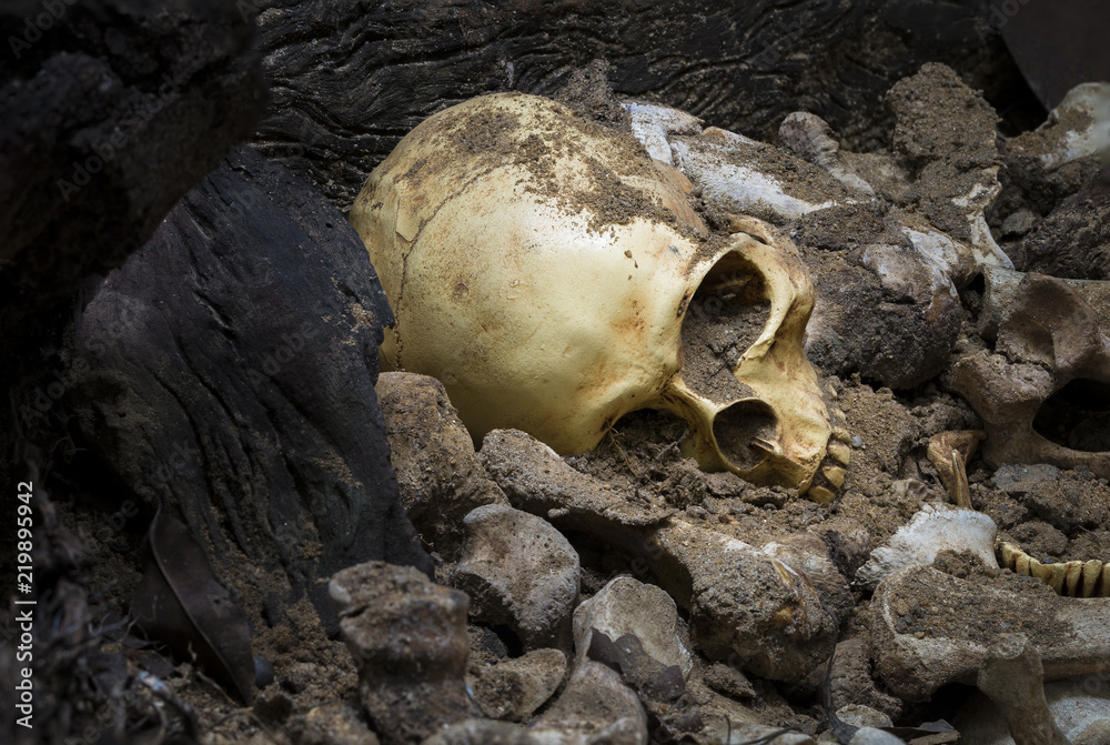 Model skull of human and bones form pit with dark light.Copy space.Concept halloween day. Model skull of human and bones form pit with dark light.Copy space.Concept halloween day.