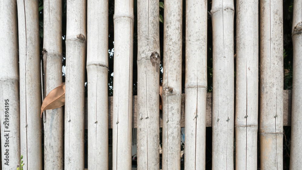 bamboo close up background or texture bamboo close up background or texture