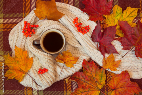 Coffee, scarf and autumn leaves on warm brown plaid. Autumn flat lay.