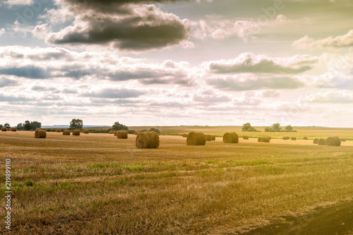 Twisted haystack on agriculture field landscape © Dushlik