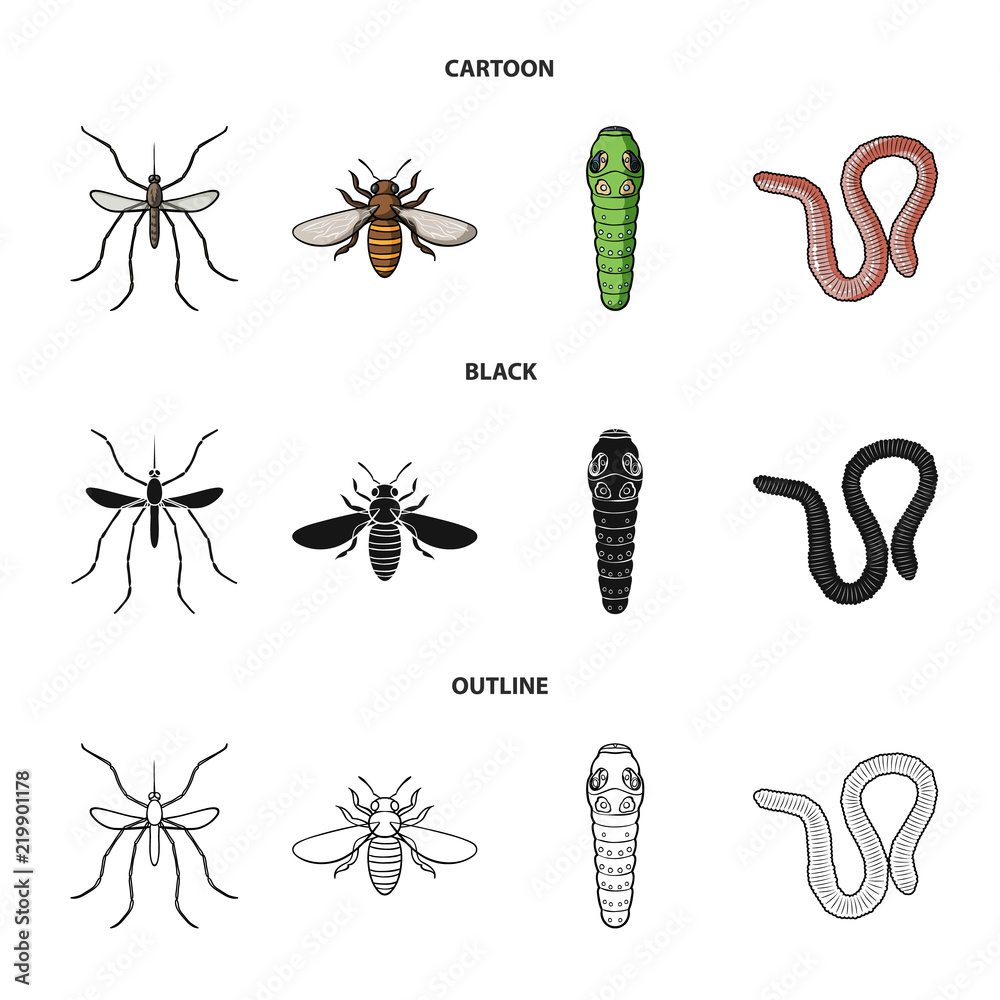 Worm, centipede, wasp, bee, hornet .Insects set collection icons in  cartoon,black,outline style vector symbol stock illustration web. Stock  Vector