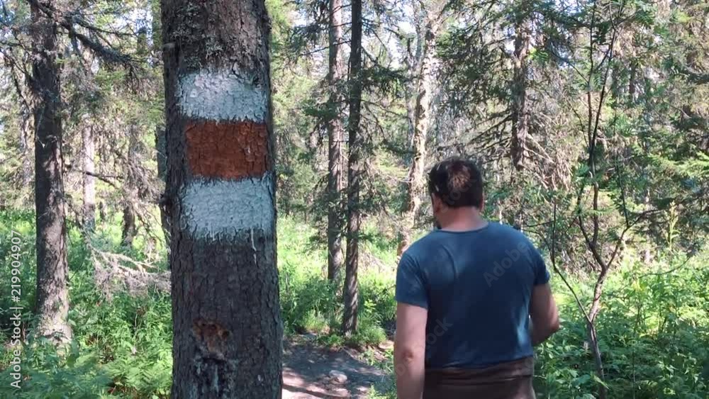 Hiking Hiking Trail. Tourist is a travel person. National park. Young tourist Hiking in summer in the mountains. The trekking trail, nature, outdoors Hiking Hiking Trail. Tourist is a travel person. National park. Young tourist Hiking in summer in the mountains. The trekking trail, nature, outdoors