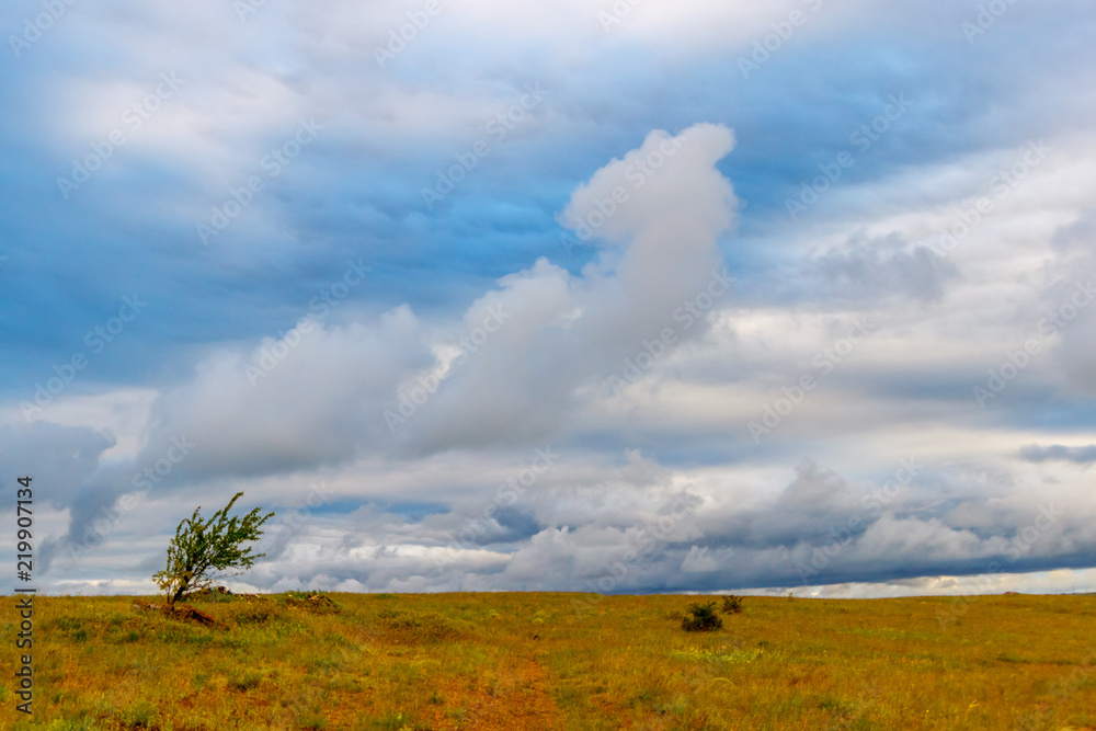 The cloudy landscape with stormy sky and small lonely tree