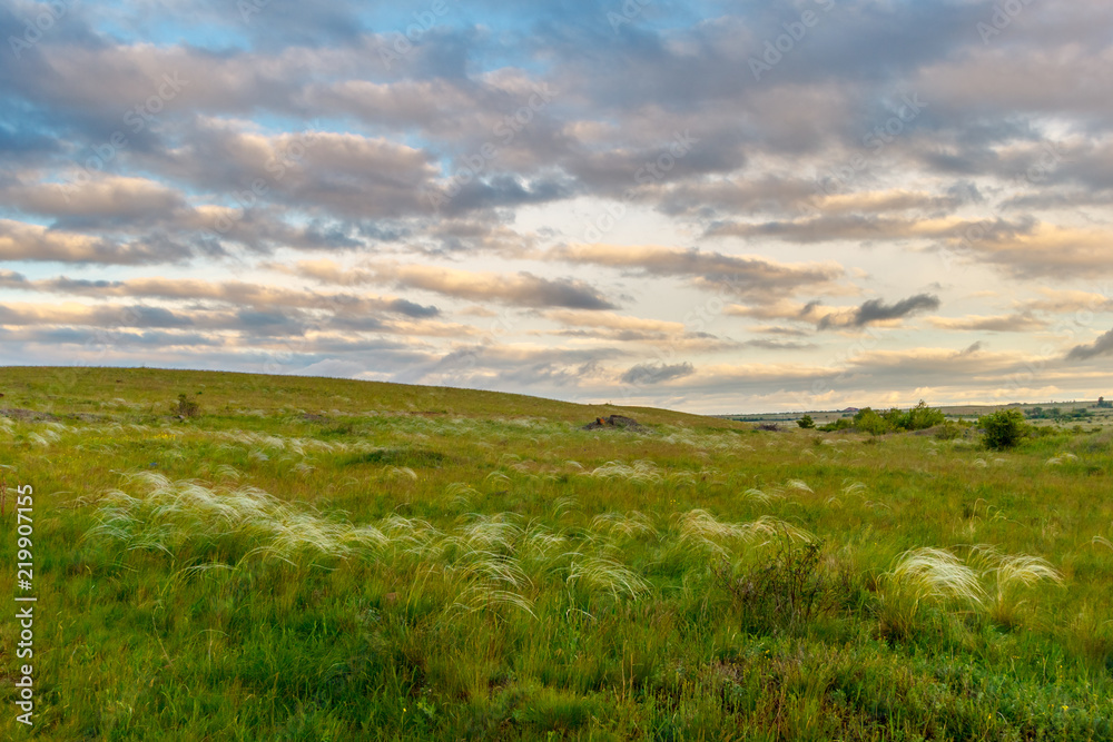 Obraz premium The steppe landscape with colorful sky and feather grasses. South of Russia, Rostov-on-Don region
