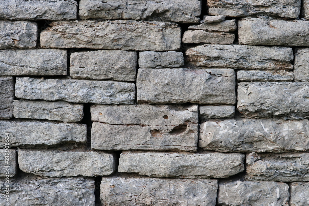 Brick Wall Texture