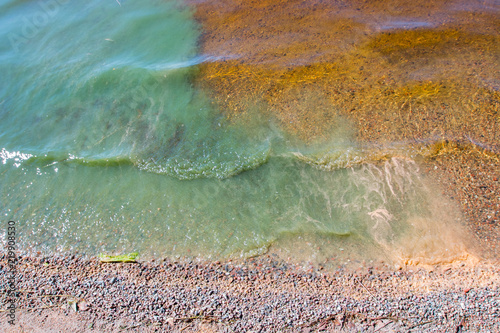 Green algae drifting in the lake close to the beach in Finland. photo