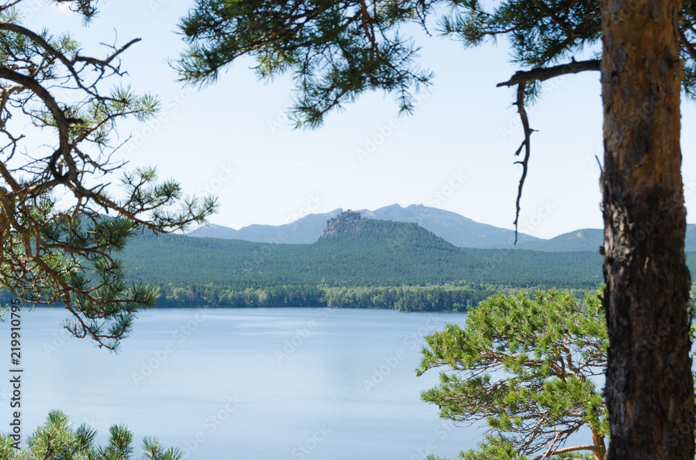 Beautiful view of the lake from the pine forest.