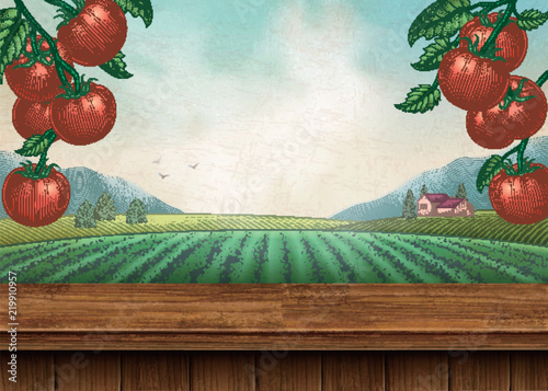 Tomato orchard background