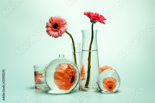 Still life with glass vases of various shapes and gerbera daisy flowers