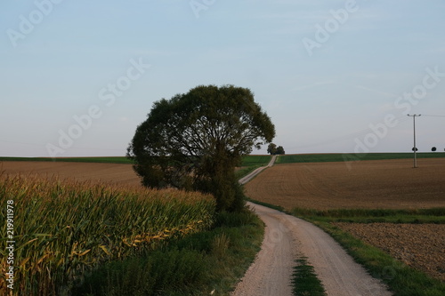 Feldweg