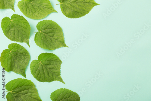 green leaves on paper background © Maya Kruchancova