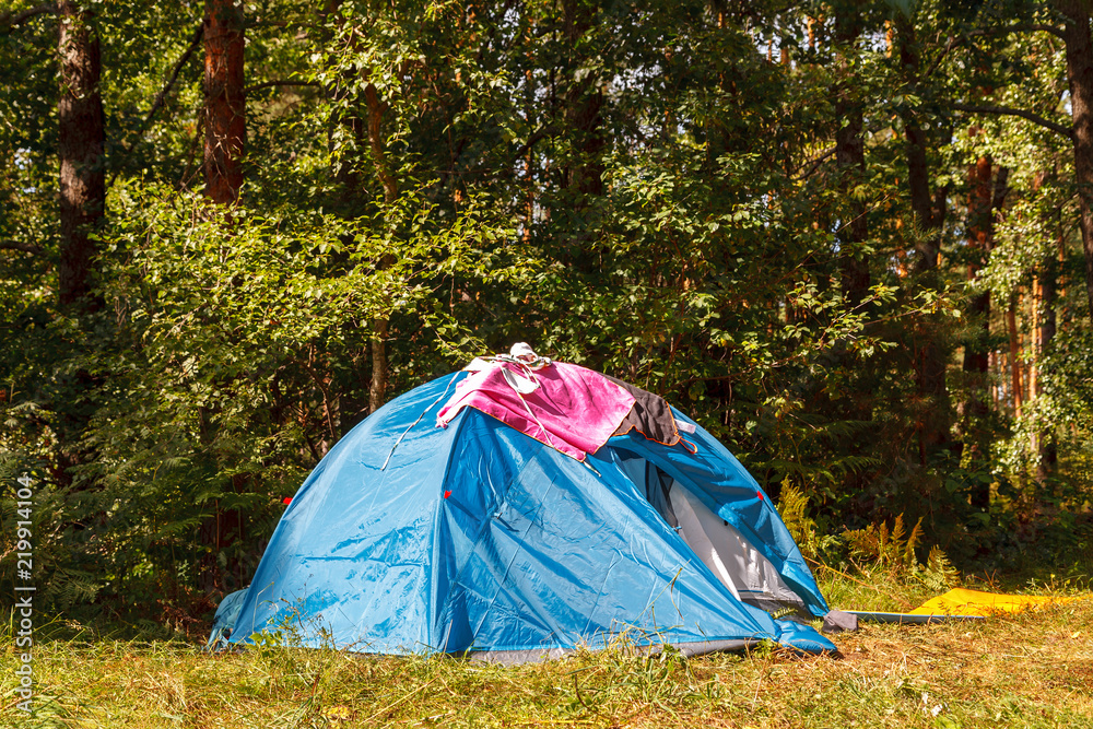 Blue camping tent in the forest in bright sunny day