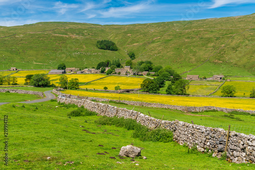 Yorkshire Dales landscape with Halton Gill and the Horse Head High Pasture in the background, North Yorkshire, England, UK photo