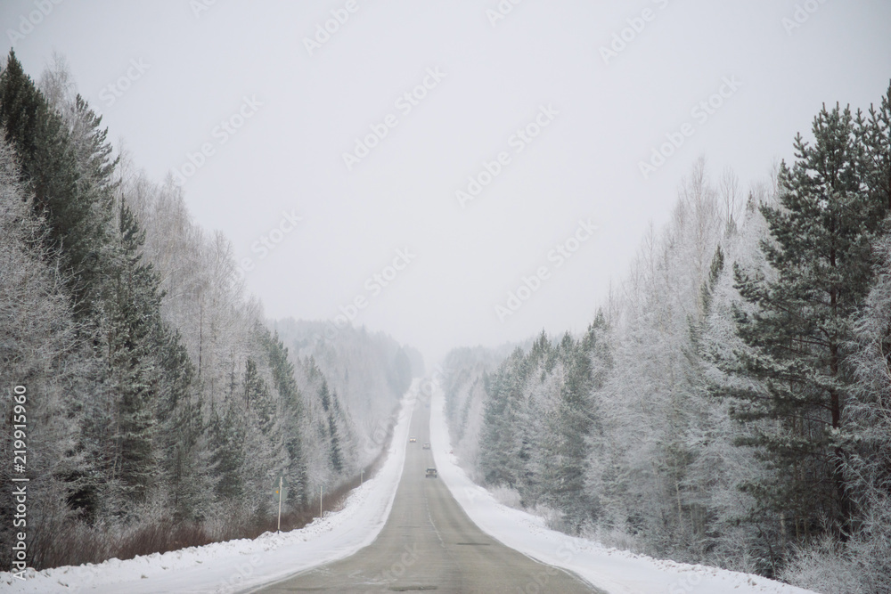 Country road leading among frosted trees