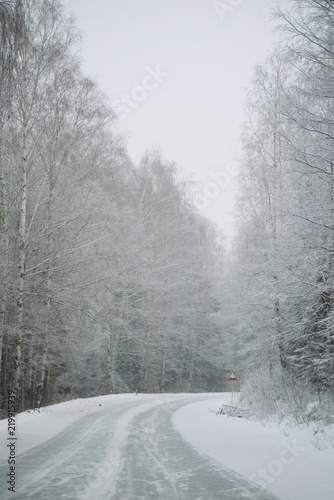 Country road leading among frosted trees © malykalexa777