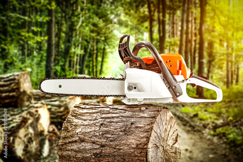 Autumn forest and chainsaw  photo