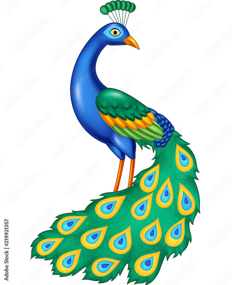 Cartoon beautiful peacock Stock Vector | Adobe Stock