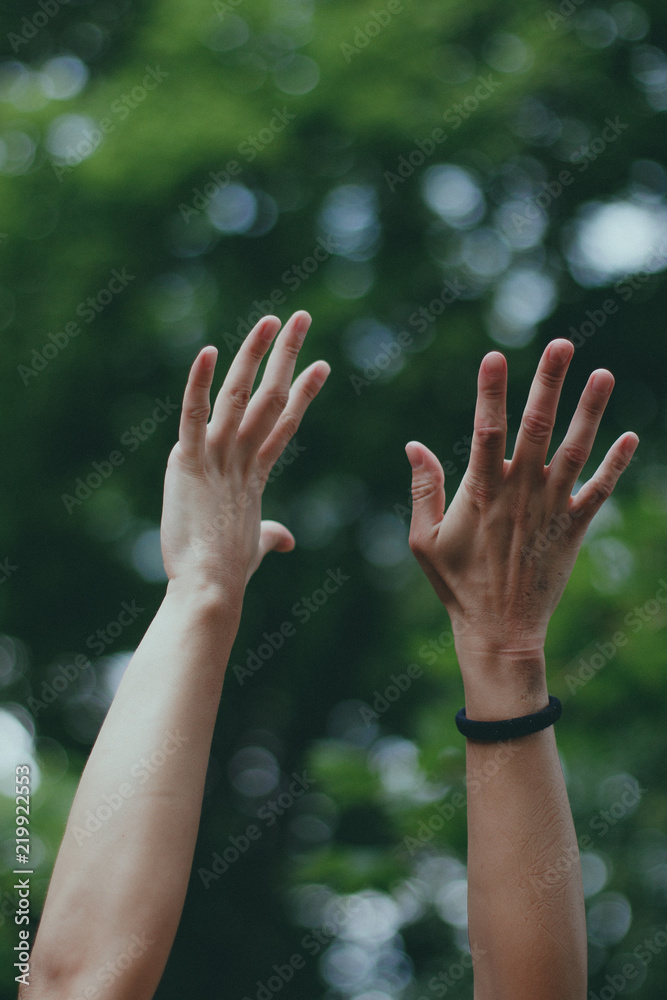 Two hands are drawn to a tree with green leaves. Summer shot. Vertical shot. Two hands are drawn to a tree with green leaves. Summer shot. Vertical shot.