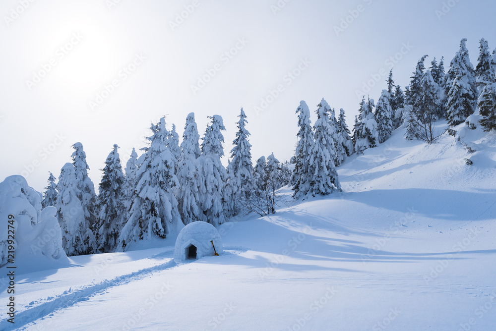 Winter landscape with a snow igloo Winter landscape with a snow igloo