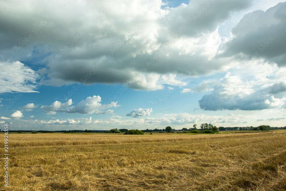 Stubble in the field and clouds in the sky
