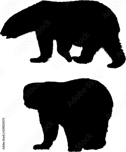 two polar bears isolated black silhouettes