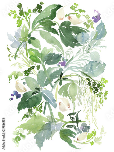 Watercolor illustration for a kitchen with plant elements.