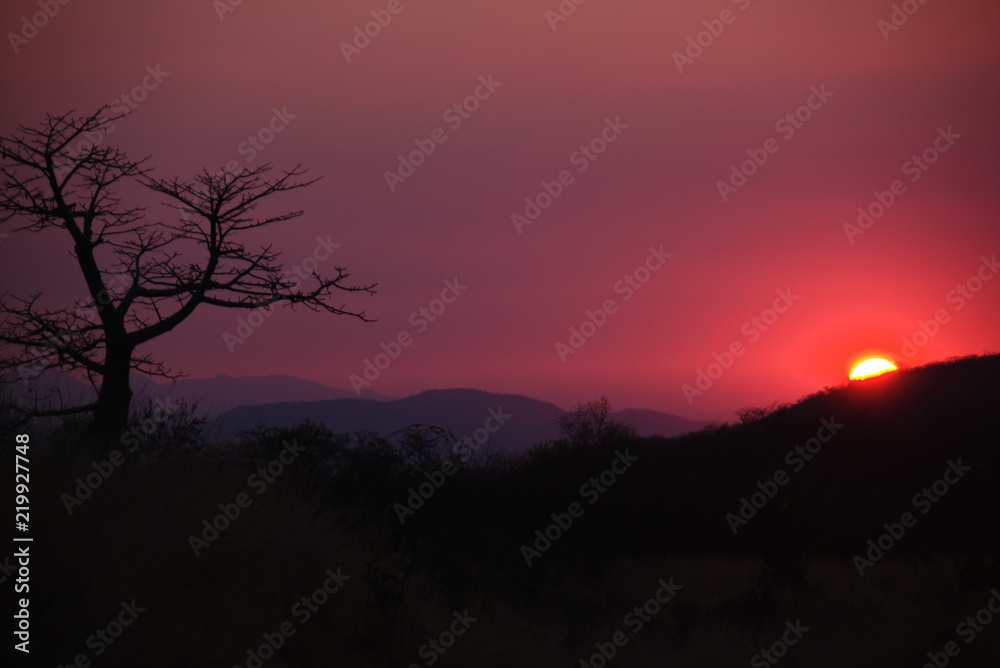 Sunset and Baobab Silhouette in Serra da Chela, Angola