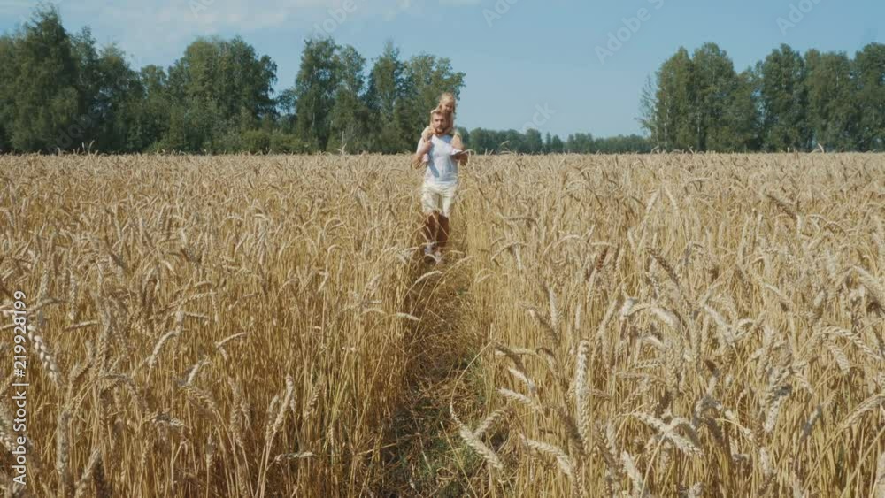 Father hold her little daughter on shoulders in wheat field Father hold her little daughter on shoulders in wheat field