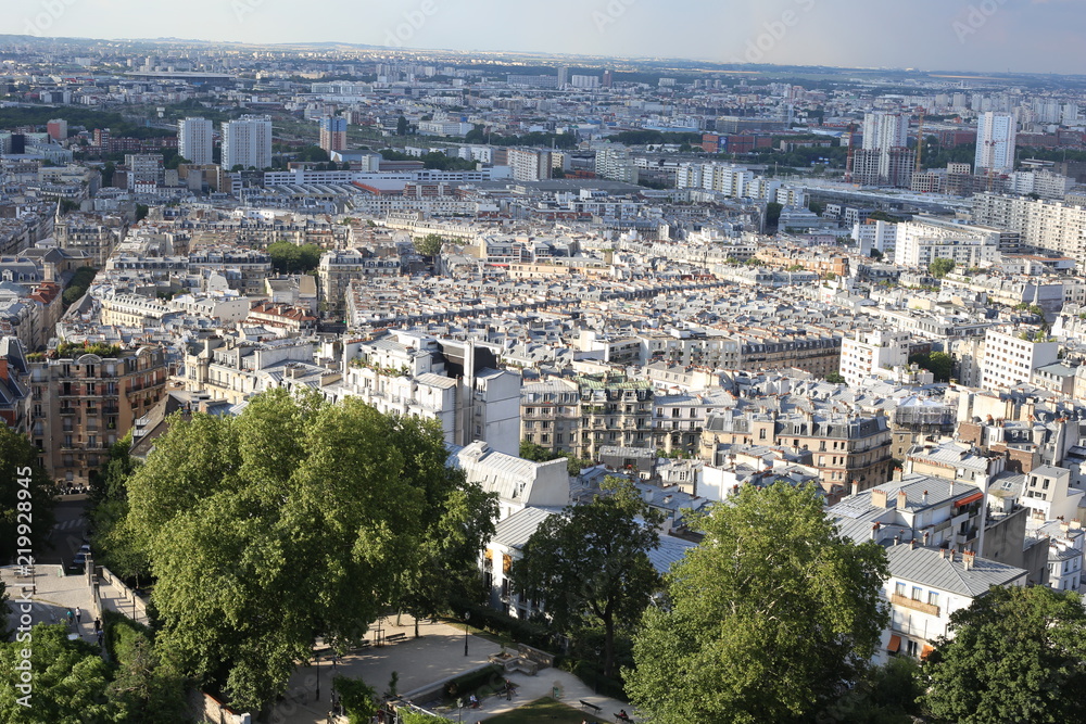 Paris panoramic view at summer day