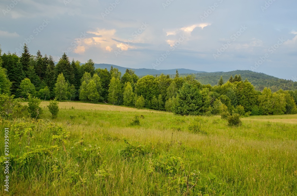 Beautiful mountain landscape. Spring colors in the hills.